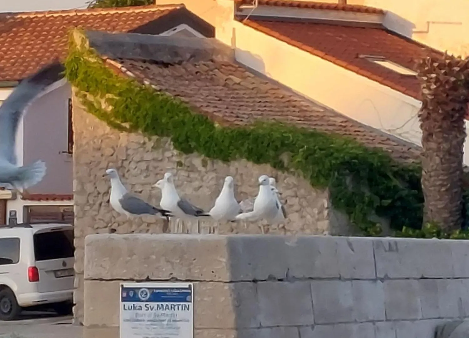 Apartments Suncica Mali Lošinj Kroatien