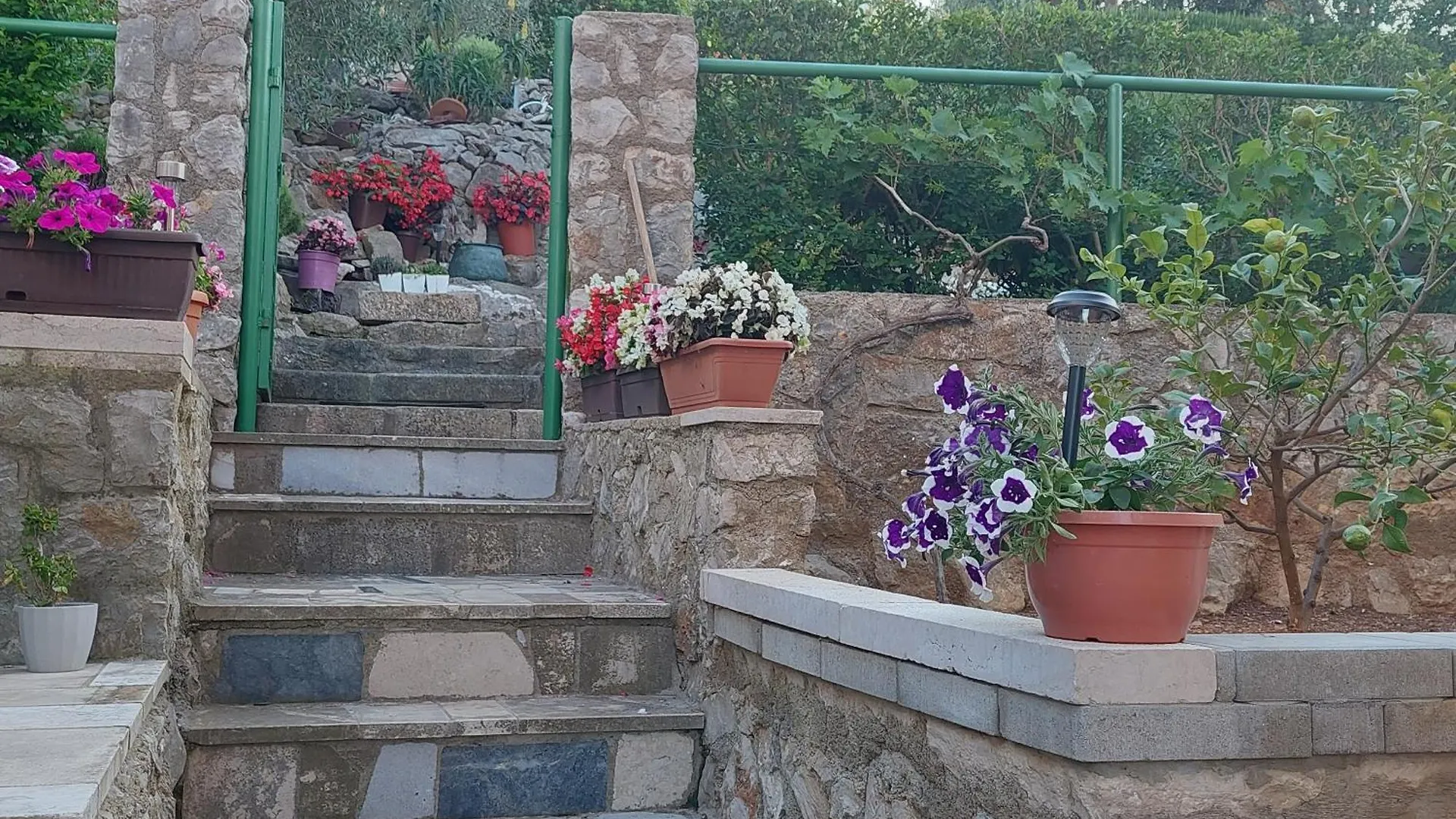 Apartments Suncica Mali Losinj 0*,  Croatia