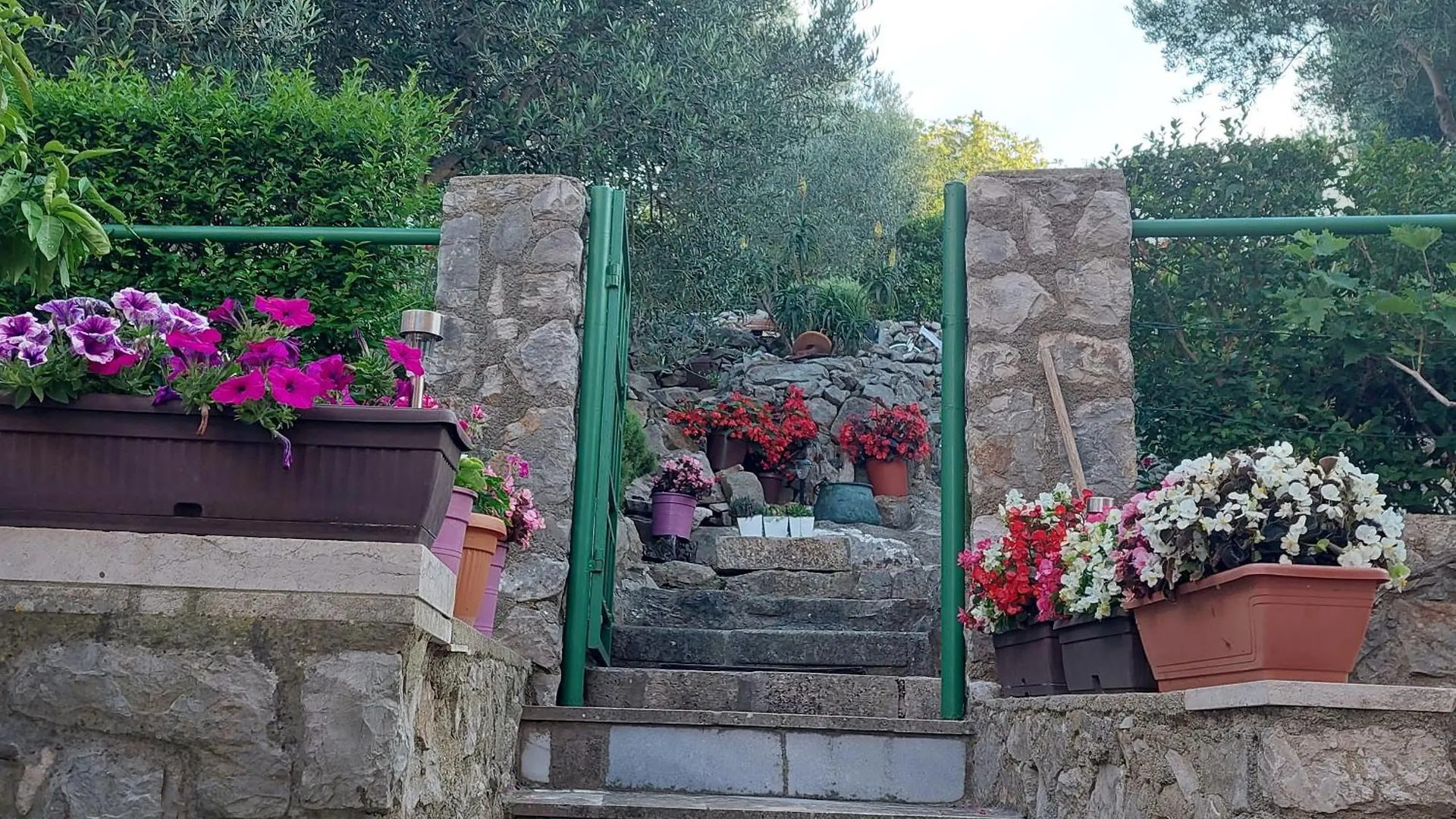 Apartments Suncica Mali Losinj Croatia